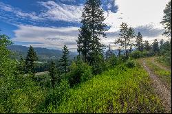 Tract A,B,C Cold Creek Road