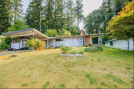 Mid-Century Charming Bothell Home