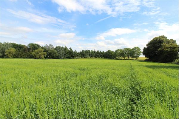 Land At Ludham, Norwich Road, Ludham, Great Yarmouth, NR29 5QD