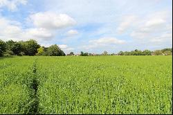 Land At Ludham, Norwich Road, Ludham, Great Yarmouth, NR29 5QD