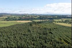 Drumbuich & Barselton Woods, Methven, Perthshire, PH1 3TA