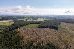 Drumbuich & Barselton Woods, Methven, Perthshire, PH1 3TA