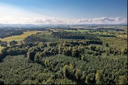 Drumbuich & Barselton Woods, Methven, Perthshire, PH1 3TA