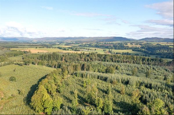 Drumbuich & Barselton Woods, Methven, Perthshire, PH1 3TA