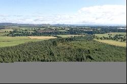 Lot 1 Drumbuich Wood, Methven, Perthshire, PH1 3TA