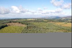 Lot 1 Drumbuich Wood, Methven, Perthshire, PH1 3TA