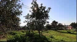 Large construction plot with sea view for sale Central Algarve