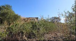 Plot with approved project in Loul&eacute;, for sale