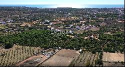 4 ha of Land near Vale do Lobo with project for a large home with swimming pool, for sale