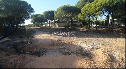 Plot for sale for construction of a villa near Quinta do lago