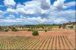 Vineyard & Lavender Farm