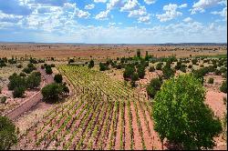 Vineyard & Lavender Farm