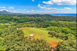 4270 UMIUMI RD,Kalaheo, HI, 96741