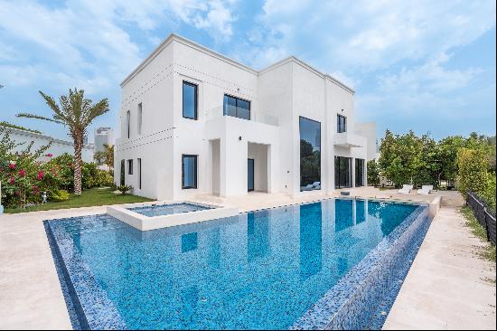 Luxury villa in Jumeirah Islands