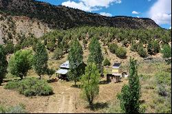 1179 County Road 41, Mancos, CO 81328