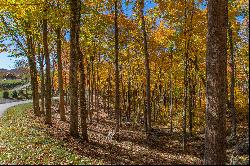 BANNER ELK - THE LODGES AT EAGLES NEST