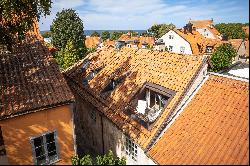 Historic Clematis House: Exclusive 13th Century Estate in Visby