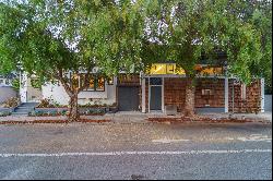 Rare South Berkeley Gem: Two Homes on One Lot