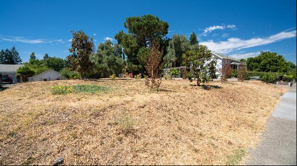 Central Healdsburg Lot