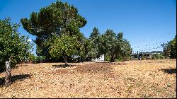 Central Healdsburg Lot