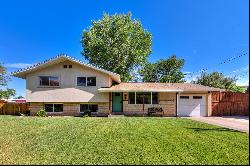 Charming Mid-Century Home In The Heart Of Moab