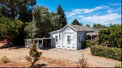 Two Houses on Two Parcels, Healdsburg