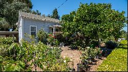 Two Houses on Two Parcels, Healdsburg