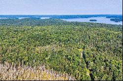 Muskoka Forest Lot