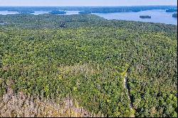 Muskoka Forest Lot