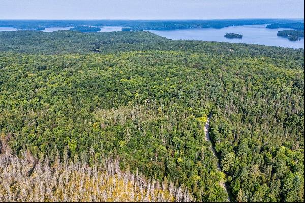 Muskoka Forest Lot