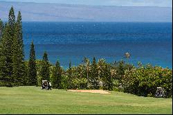 Ocean View Villa on the Kapalua Bay Course