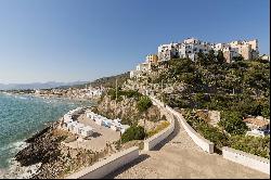 Sea View renovated penthouse