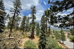 748 Paine Road, Big Bear Lake Ca 92315