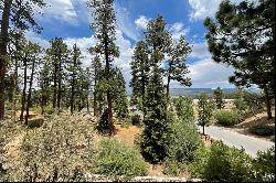 748 Paine Road, Big Bear Lake Ca 92315