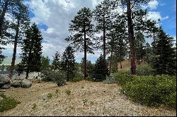 748 Paine Road, Big Bear Lake Ca 92315