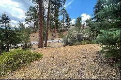 748 Paine Road, Big Bear Lake Ca 92315