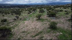 LOTE CAMPESTRE EN LA QUINTA