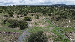 LOTE CAMPESTRE EN LA QUINTA