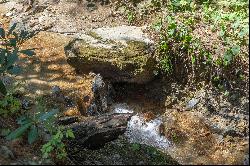 SORRENTO WOODS - BLOWING ROCK