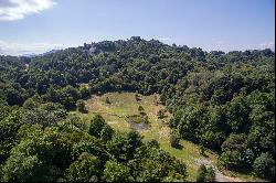 SORRENTO WOODS - BLOWING ROCK