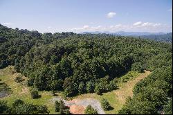 SORRENTO WOODS - BLOWING ROCK