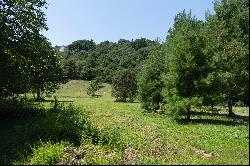 SORRENTO WOODS - BLOWING ROCK