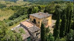 Palazzetto Historical Manor with vineyards and cellar, Siena - Tuscany