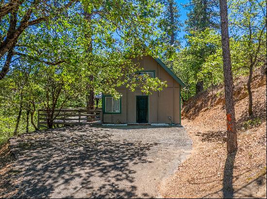 18657 Lower Salt Creek Road,Lakehead, CA, 96051