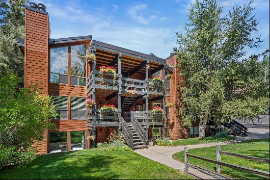 824 East Hopkins Avenue 102 & 202, Aspen, CO 81611