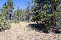 Panther Lane #Lot 6 Bonanza, OR 97623