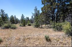 Panther Lane #Lot 6 Bonanza, OR 97623