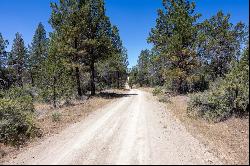 Panther Lane #Lot 6 Bonanza, OR 97623