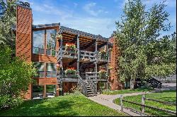 824 East Hopkins Avenue 202, Aspen, CO 81611