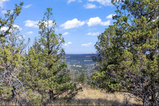 15875 SE Winchester Loop Prineville, OR 97754